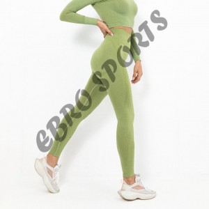 EBRO TEMPO Full Length Legging - Light Green